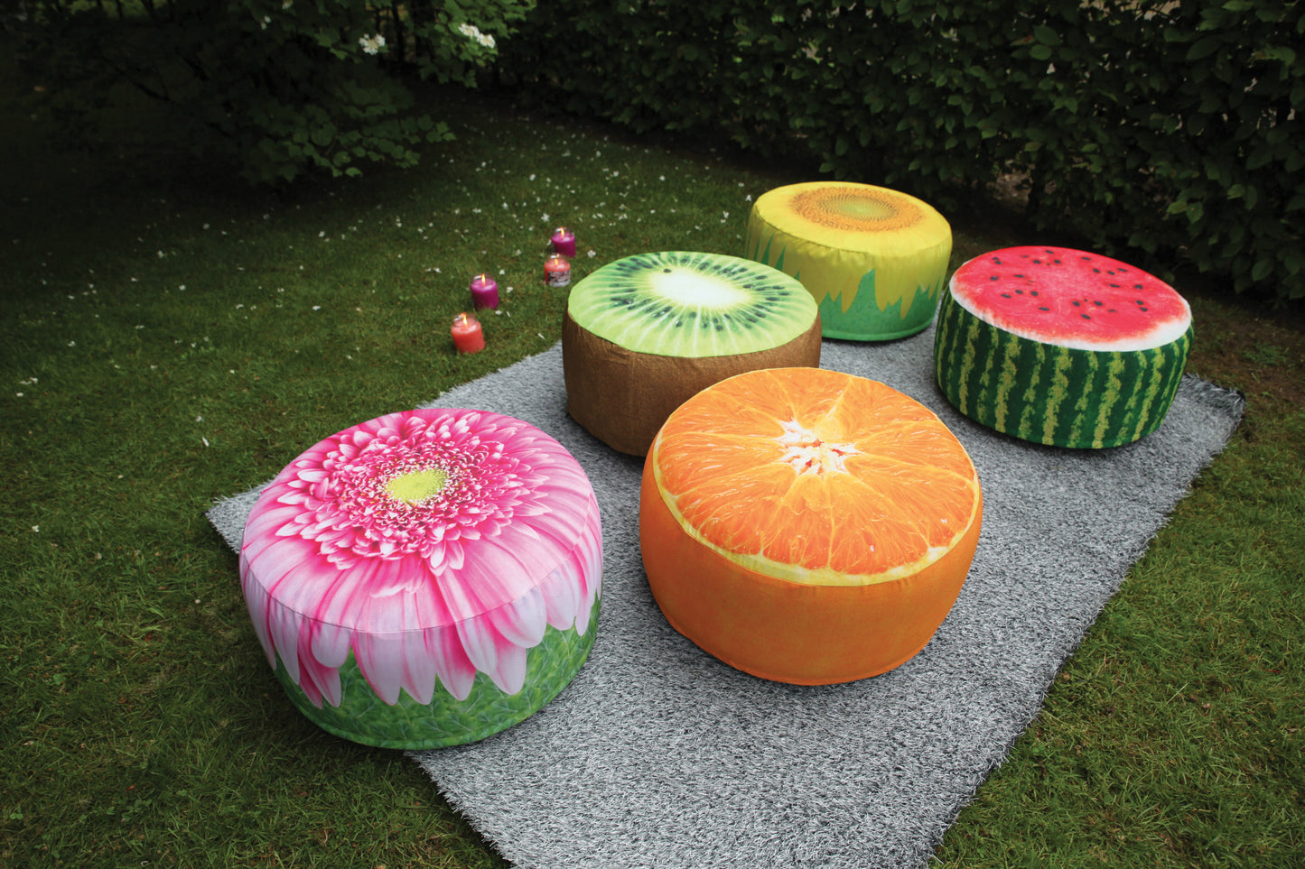 Puff Gerbera