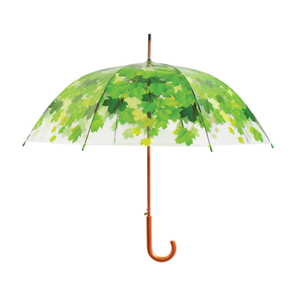 Paraply transparent grønn