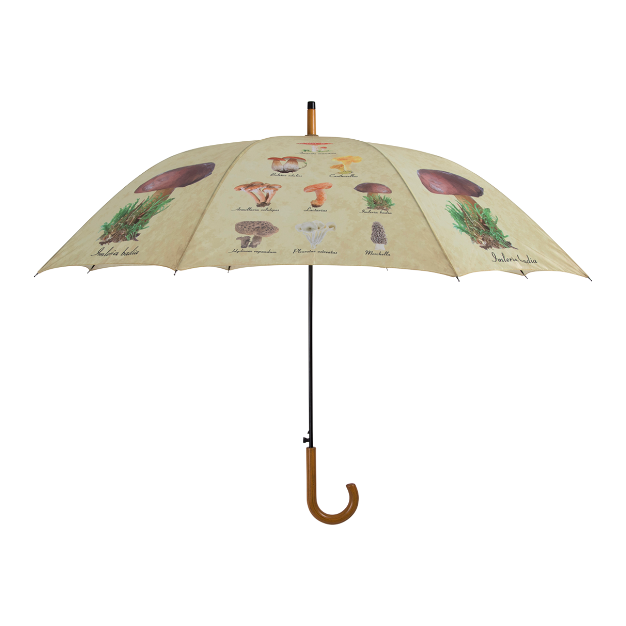 Paraply Sopp.Ø120/95CM