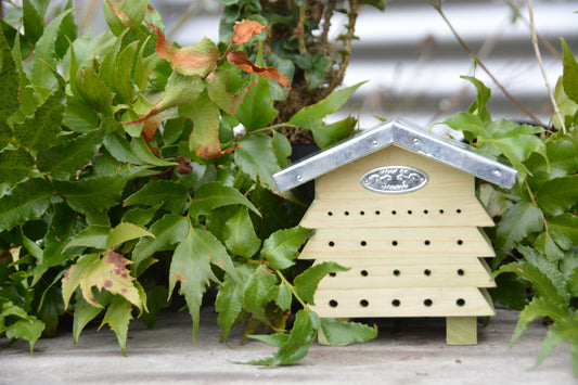 Insektshotel for bier2
