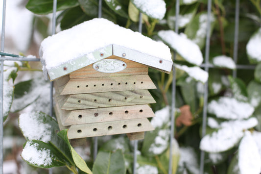Insektshotel for bier2