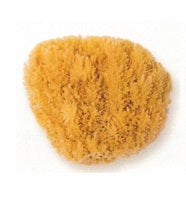 Natursvamp Liten 10-12CM